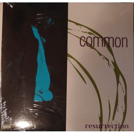 Common Sense ‎– Resurrection VG+/VG+