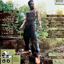 Redman ‎– Muddy Waters  VG+/G+