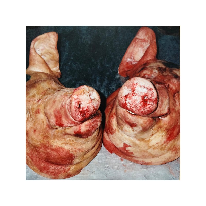 Armand Hammer & The Alchemist ‎– Haram