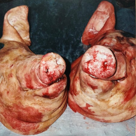 Armand Hammer & The Alchemist ‎– Haram