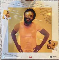 Roy Ayers Ubiquity ‎– Everybody Loves The Sunshine
