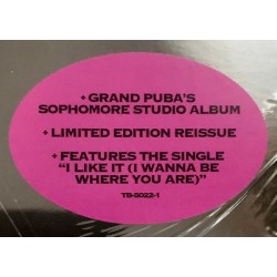 Grand Puba ‎– 2000