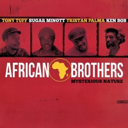 African Brothers ‎– Mysterious Nature