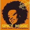 Various ‎– Spicy Music" Groove Tunes From Everywhere "