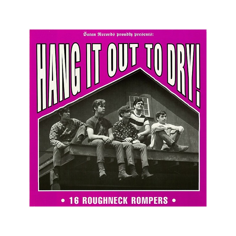 Various ‎– Hang It Out To Dry! LP VINYL